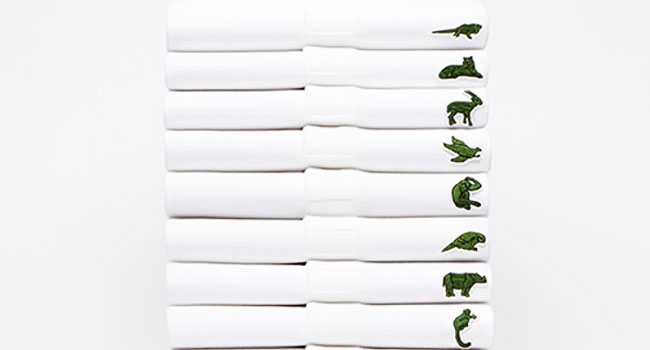 Lacoste edizione limitata