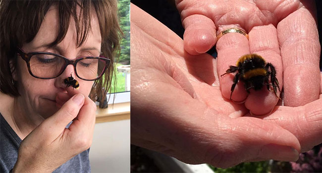 Fiona e Bee: l'amicizia incredibile tra una donna e un'ape senza ali 