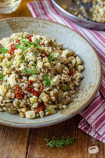 Orzo alle melanzane con tofu, aneto e pomodori secchi