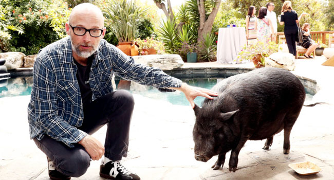 moby casa in vendita per gli animali