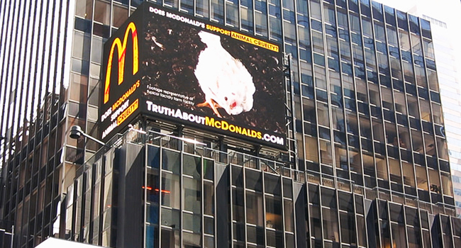 Campagna sensibilizzazione polli Times Square