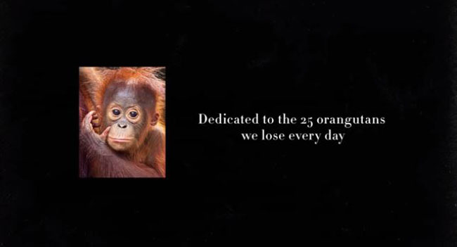 spot olio di palma orangutan