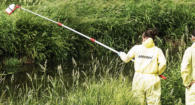 Greenpeace inquinamento carne