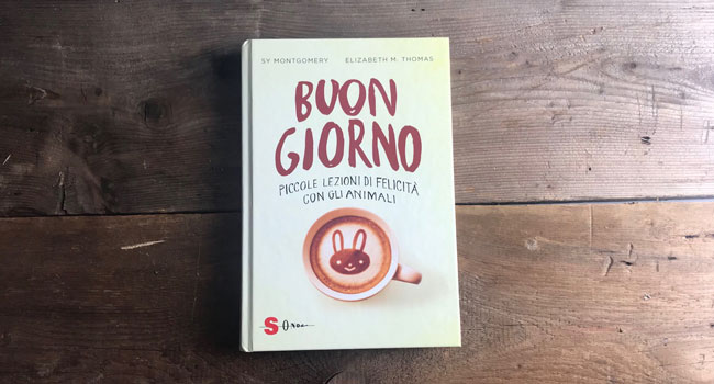 Buon Giorno libro animali