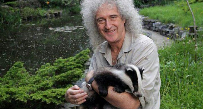 Brian May animalista
