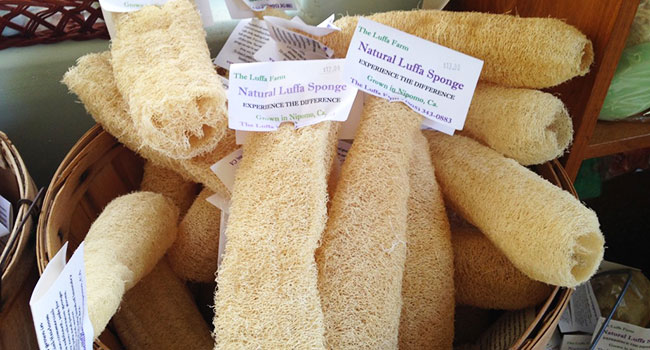 Luffa spugna zero waste naturale