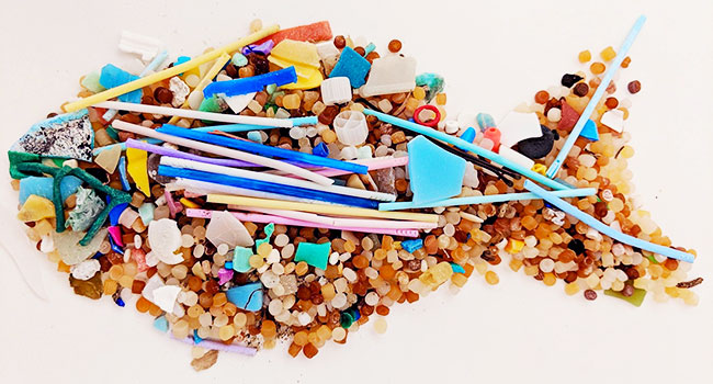 Inquinamento da plastica mare