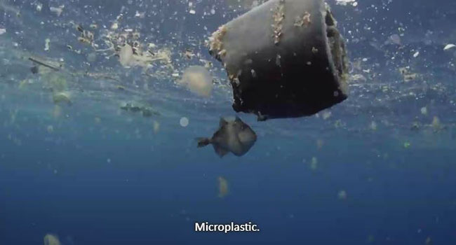 Microplastica in mare