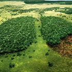 Deforestazione foresta amazzonica Bolsonaro