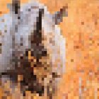 Foto animali rimasti pixels