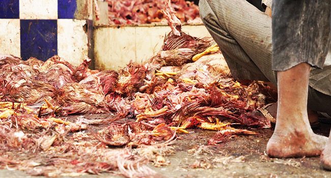 Petizione-chiudere-wet-markets