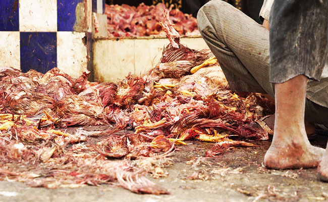 Petizione-chiudere-wet-markets