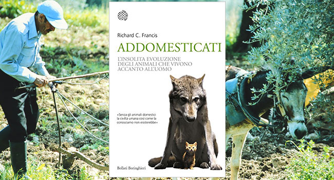 addomesticati libro