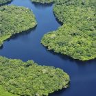 La foresta amazzonica in Brasile