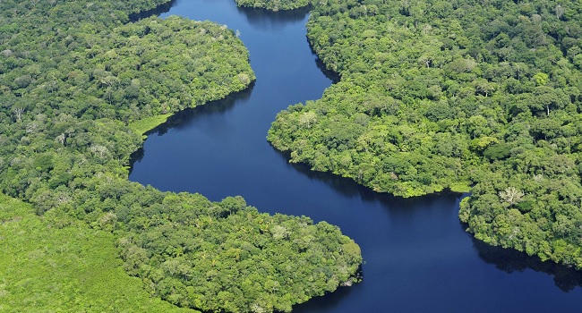 La foresta amazzonica in Brasile