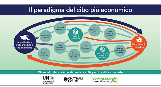 Il paradigma del cibo economico