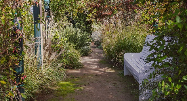 I giardini terapeutici studiati per la malattia di Alzheimer