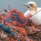 La lotta alle microplastiche? Con magneti, pesci e schermi elettrostatici