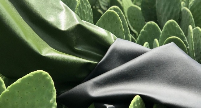 Il tessuto vegetale ricavato dal cactus