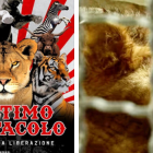 Film lav circo