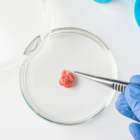 Coldiretti carne farmaco